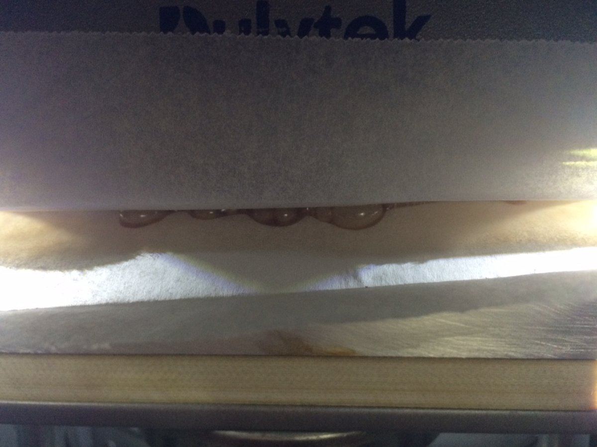 IMG 1377   Copy