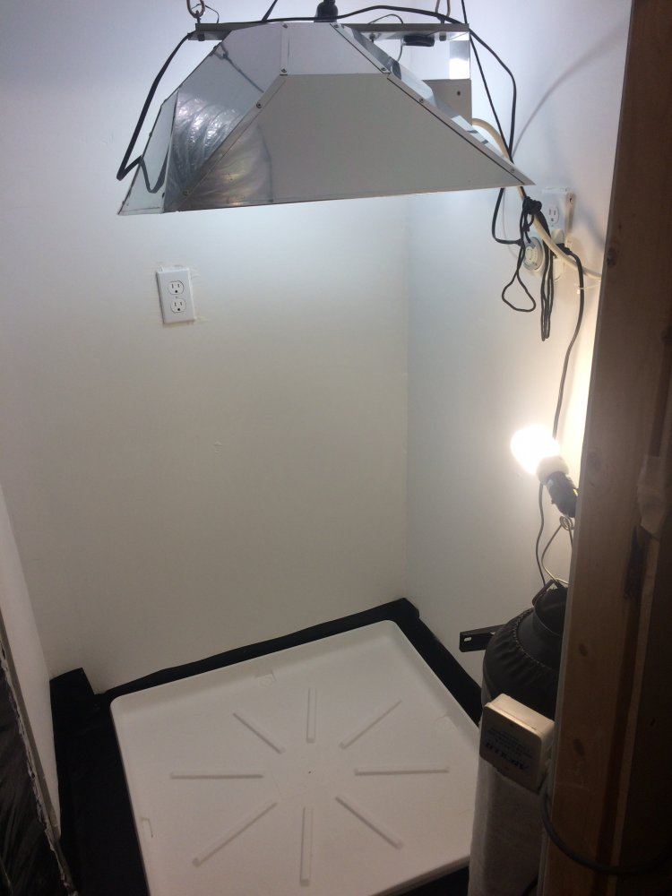 IMG 1383
