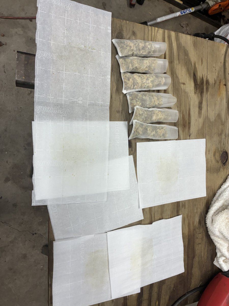 IMG 1384