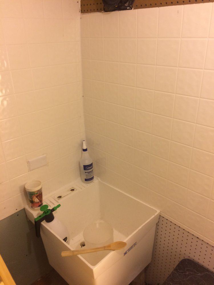 IMG 1387