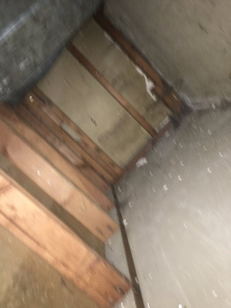 IMG 1392