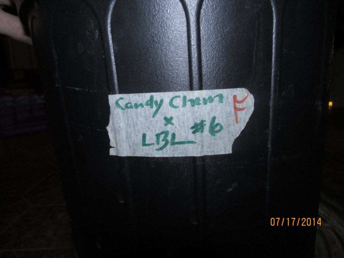 IMG 1553