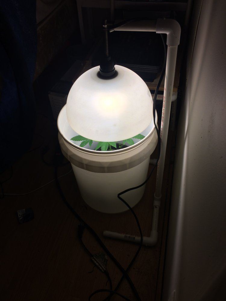 IMG 1640