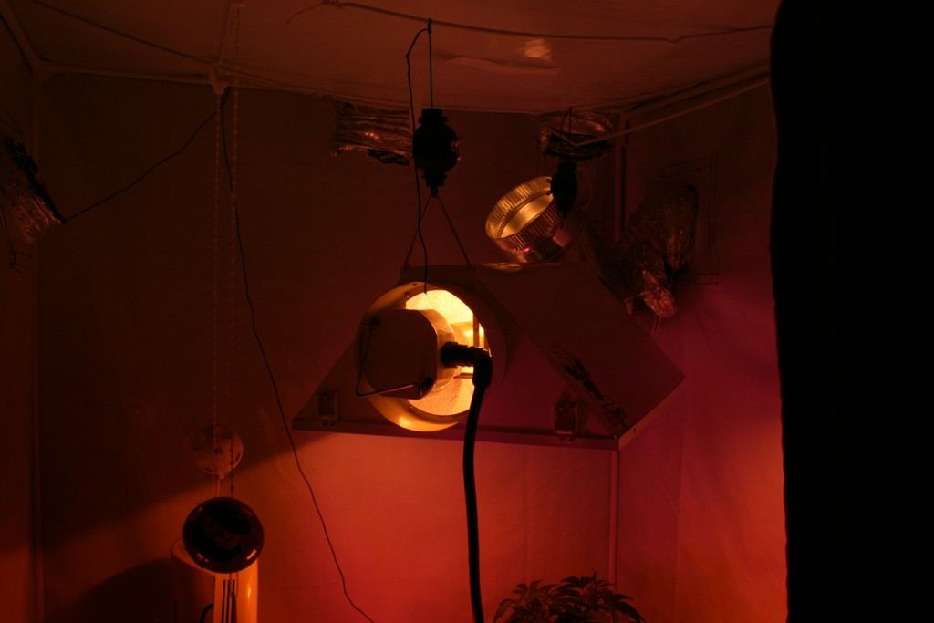 IMG 1665 1024x683