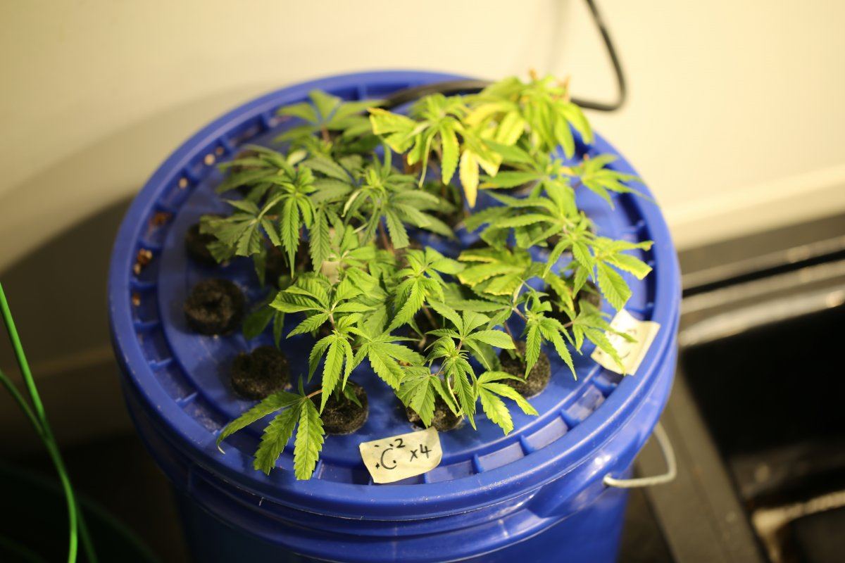 IMG 1832