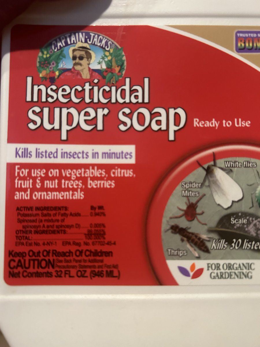 Got mites. Need help with identification/treatment please! - THCFarmer