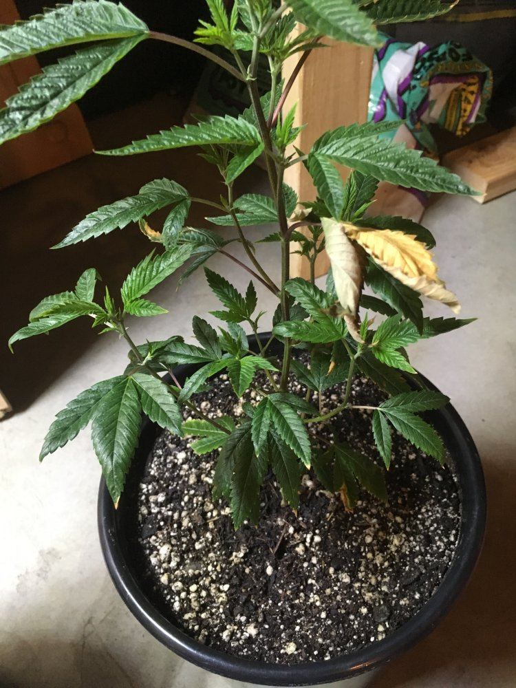 IMG 1844