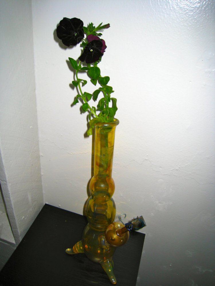 IMG 1861