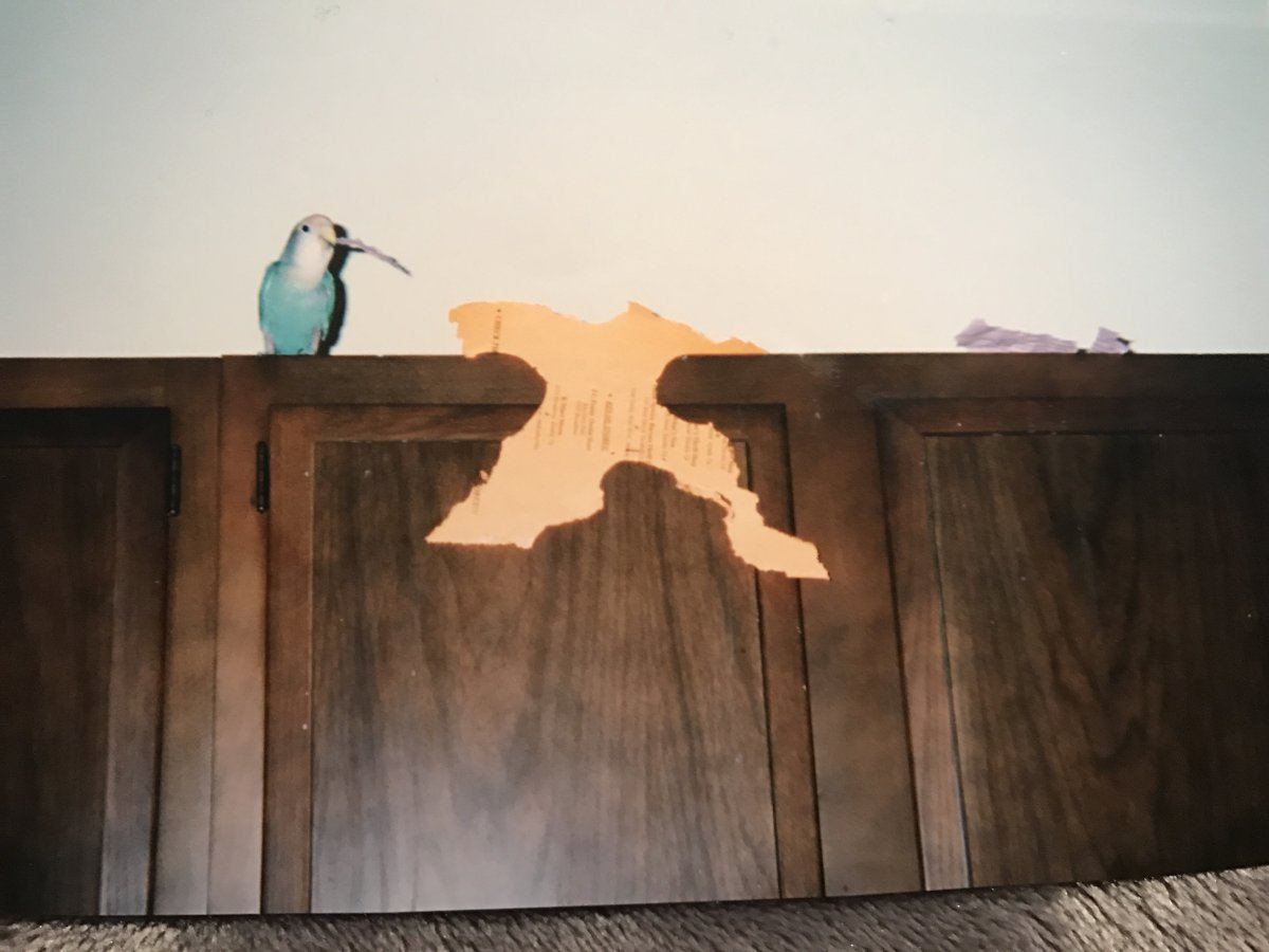 IMG 1948