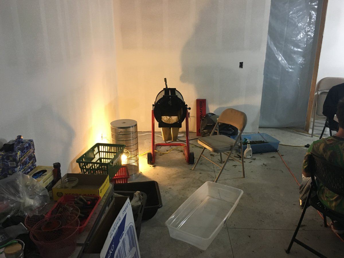 IMG 1982