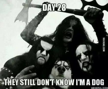 IMG 1990