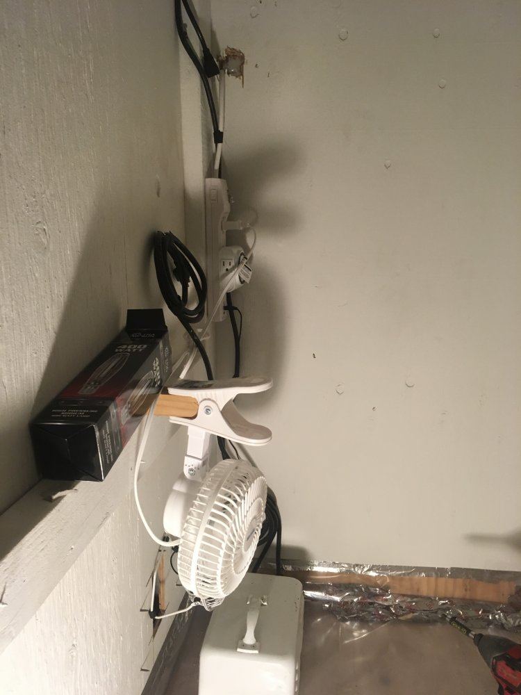 IMG 1997