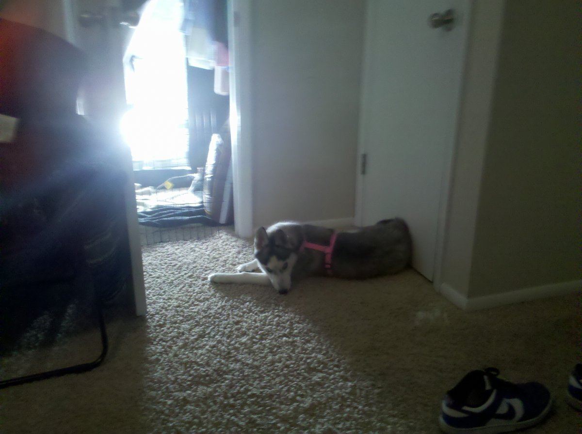 IMG 20110416 104401