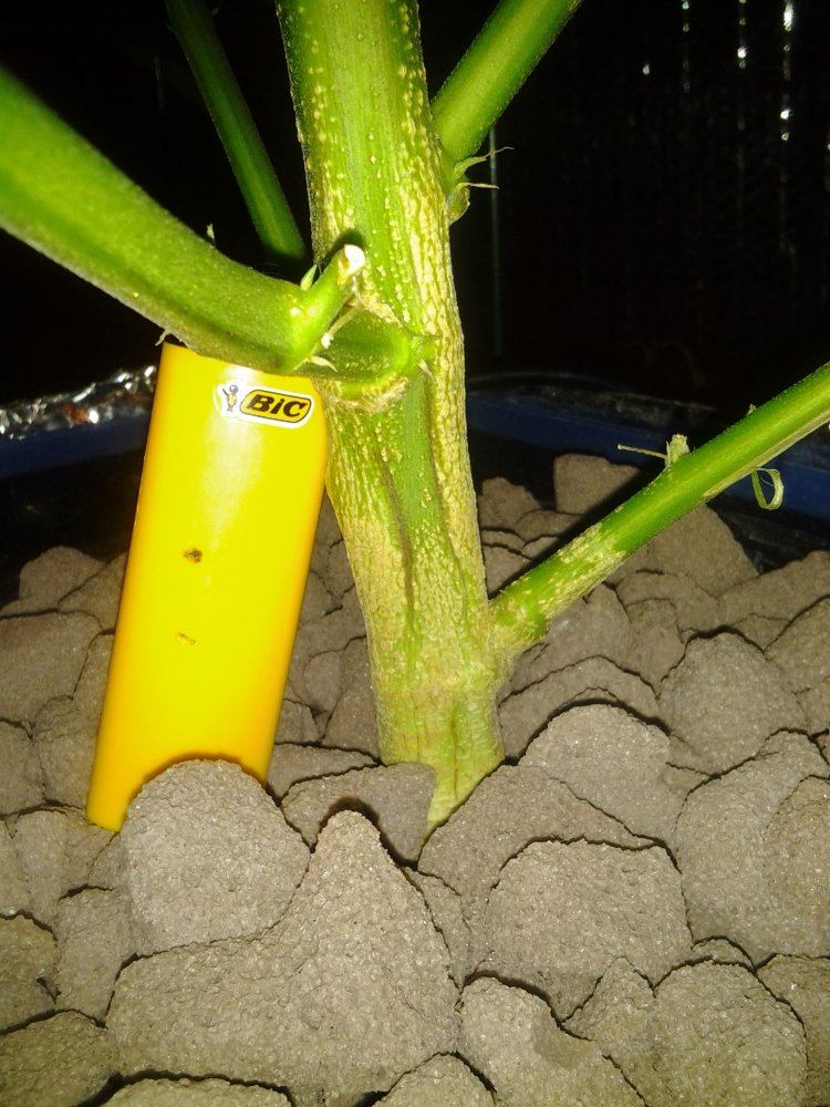 IMG 20120208 203911