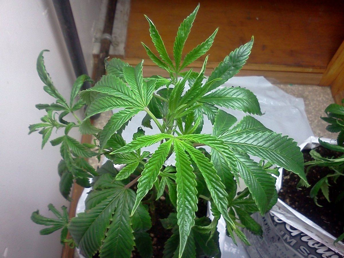 IMG 20120413 202534