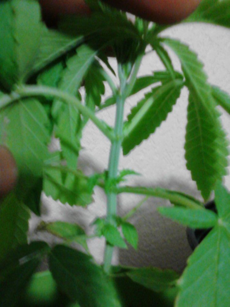 IMG 20120528 001622
