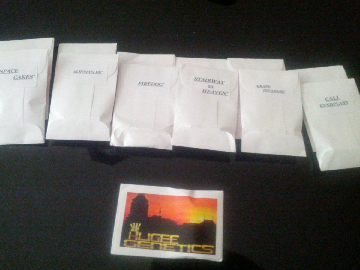 IMG 20120717 163821