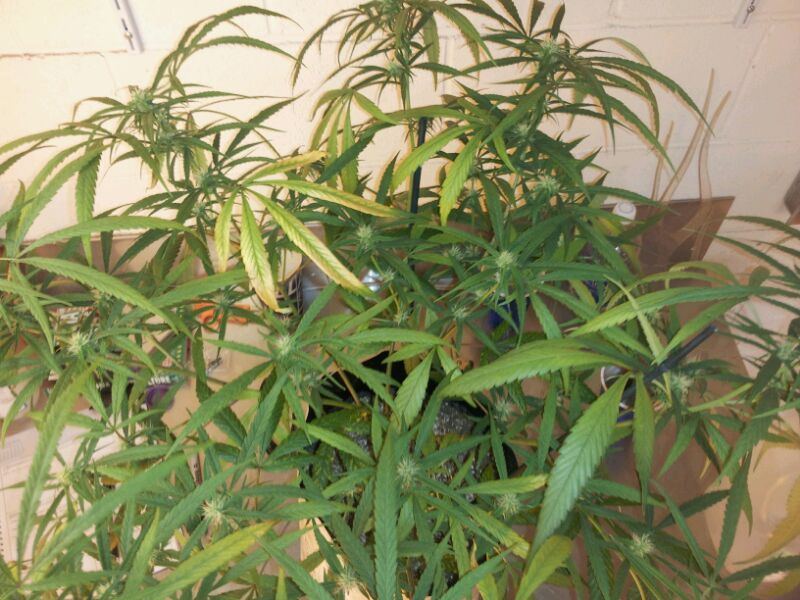 IMG 2012072350951