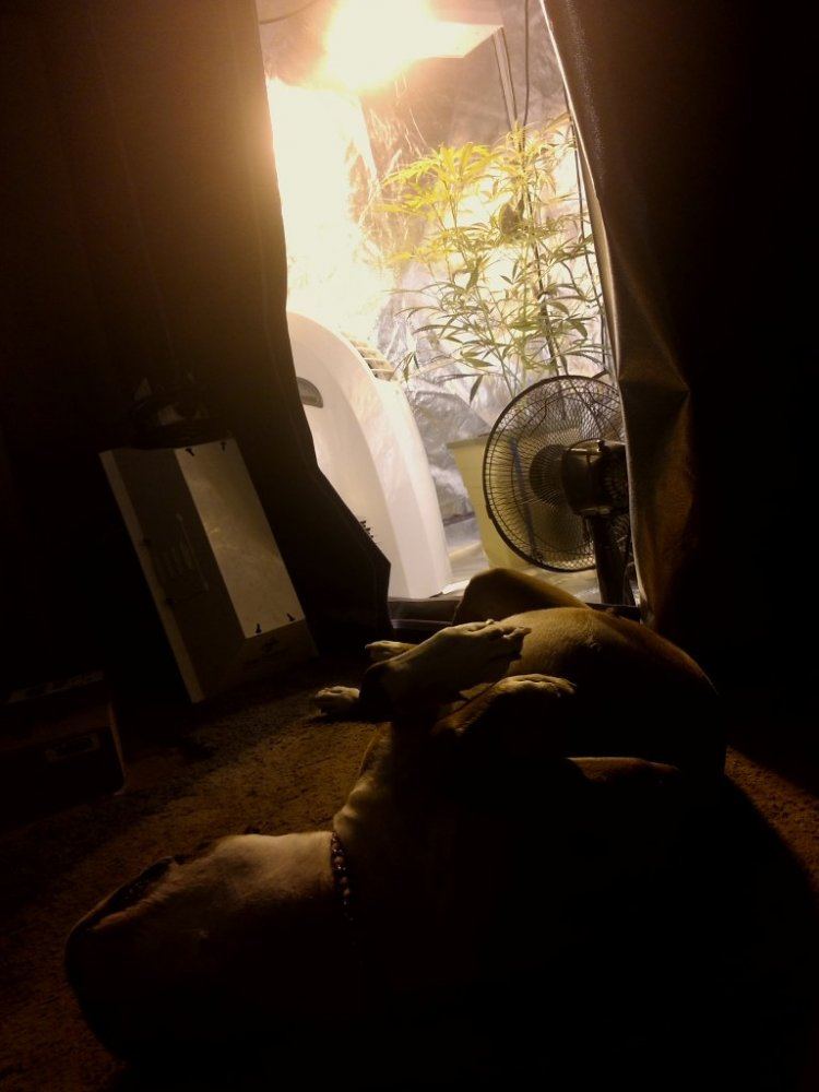 IMG 20120802 192621