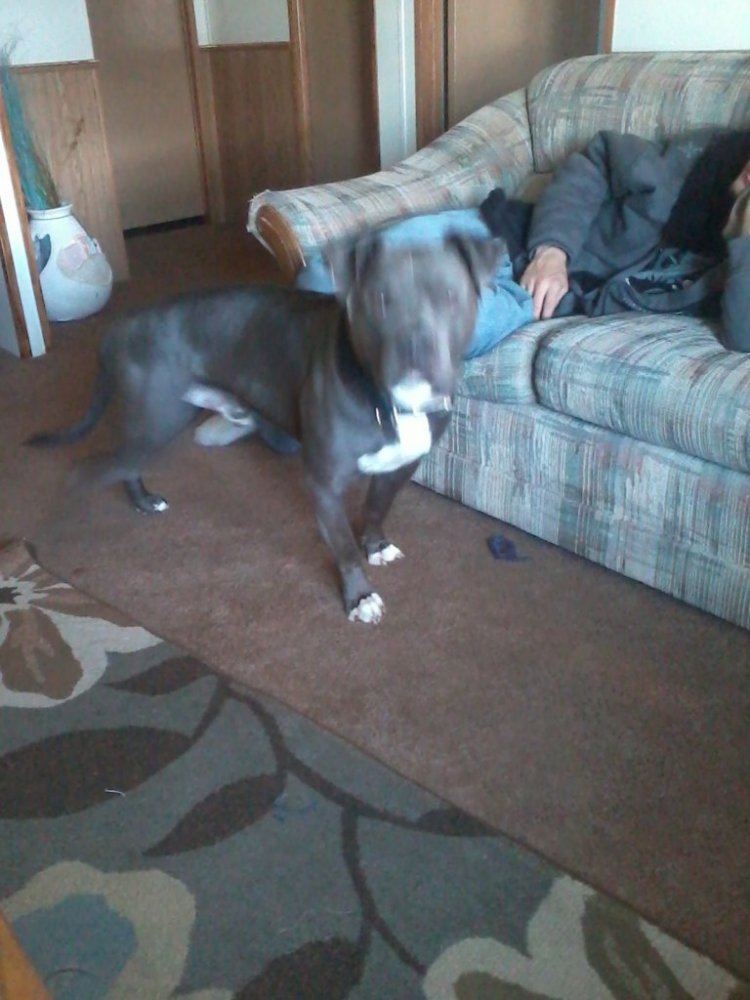 IMG 20121009 163107