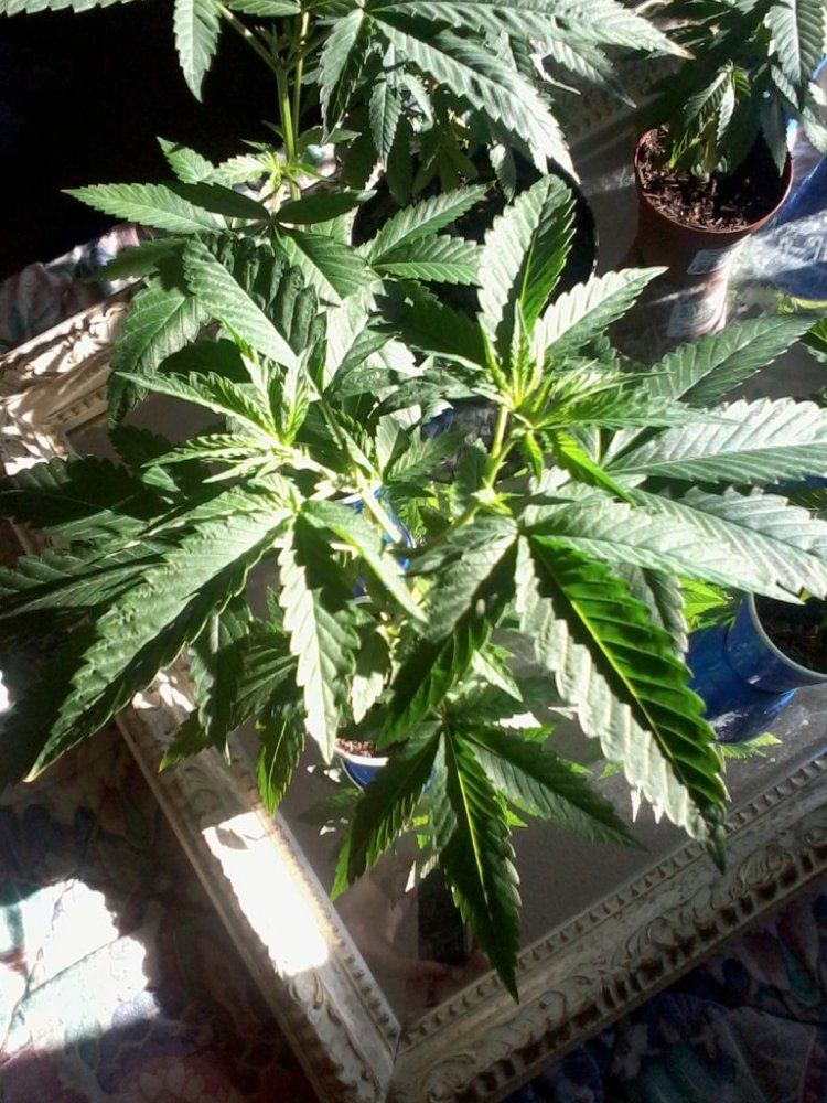 IMG 20121102 105146