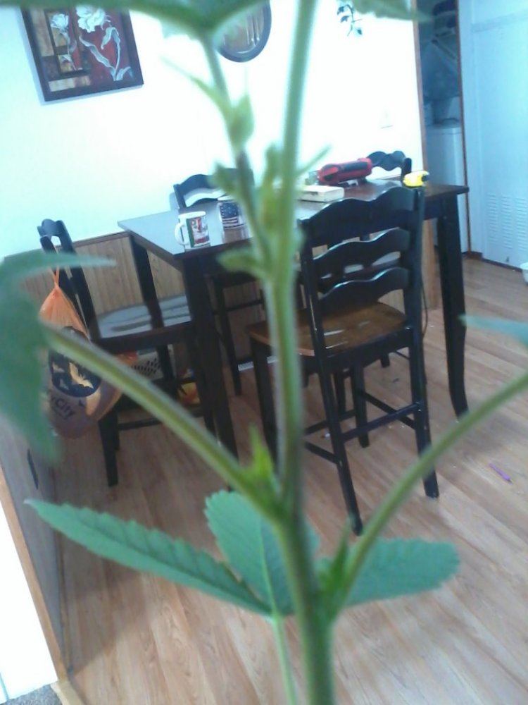 IMG 20121102 105357