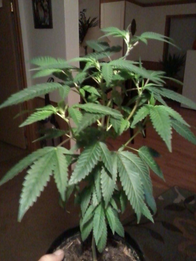IMG 20121106 183249