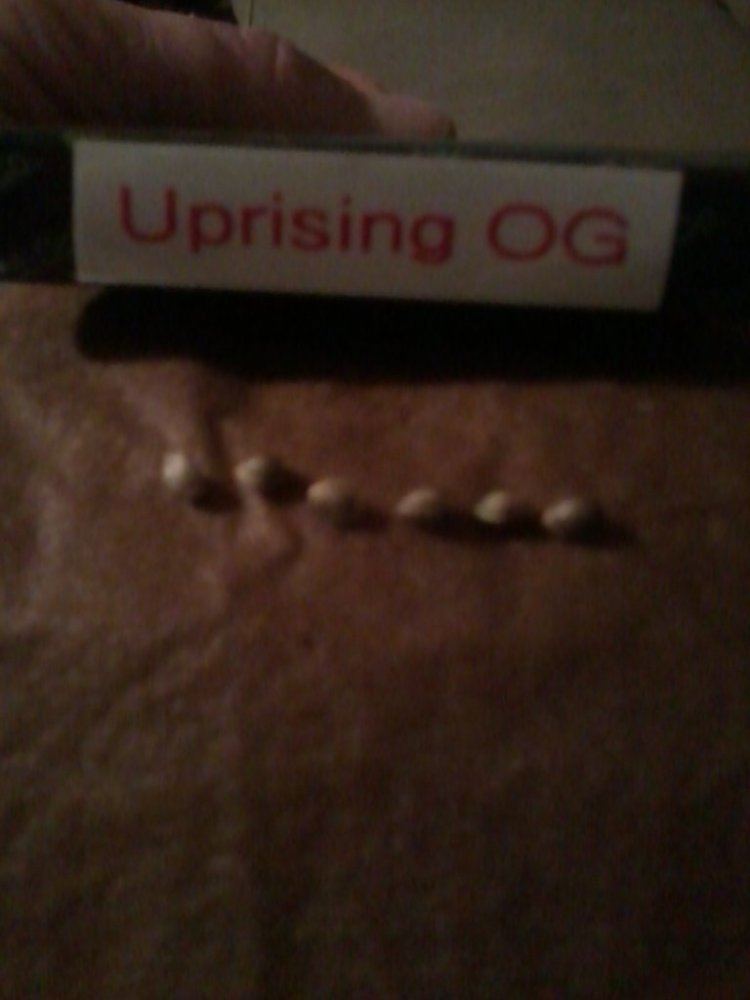 IMG 20121110 005609