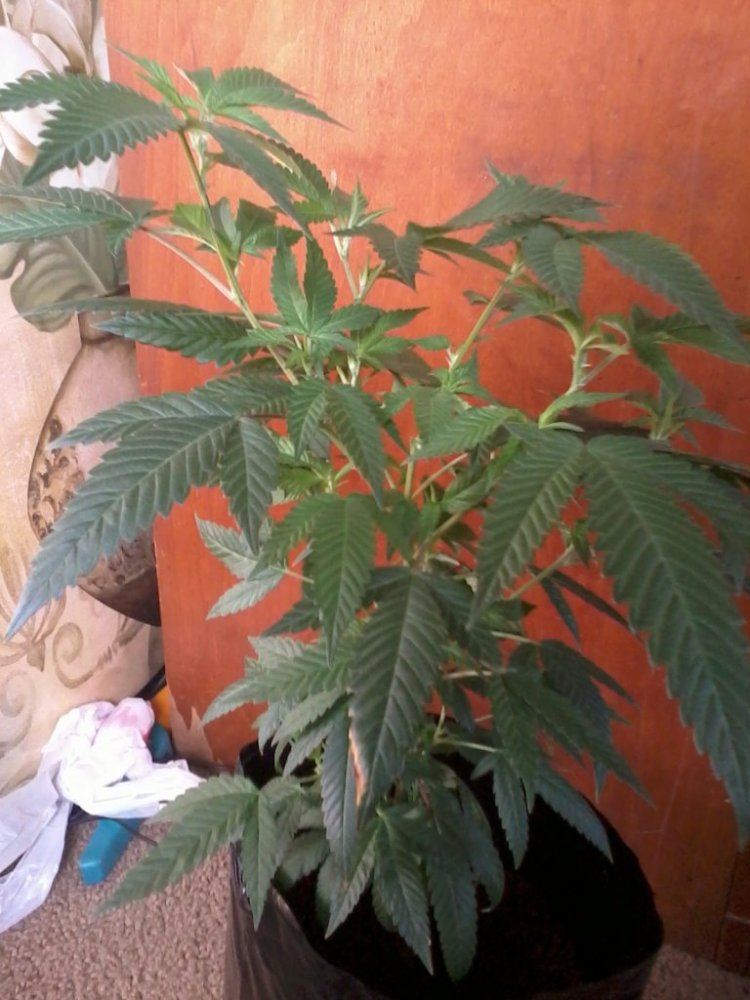 IMG 20121114 114559