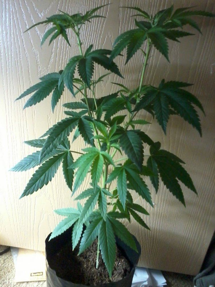IMG 20121117 173150