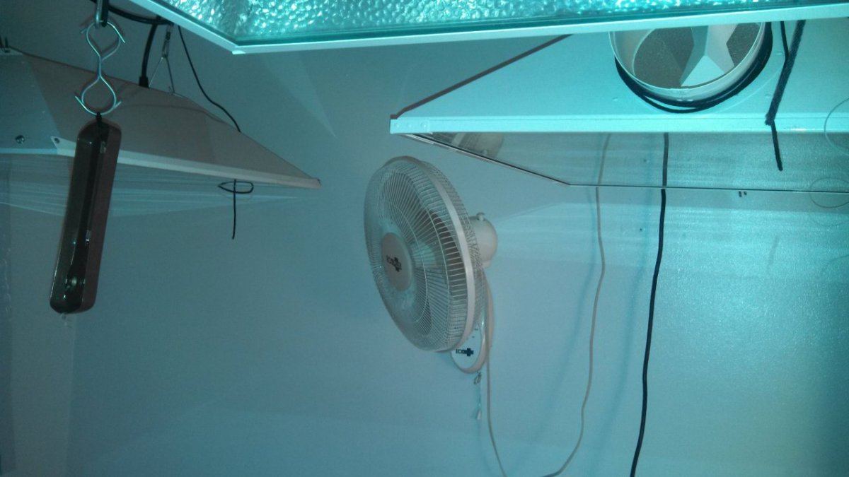 IMG 20130205 215812 6801