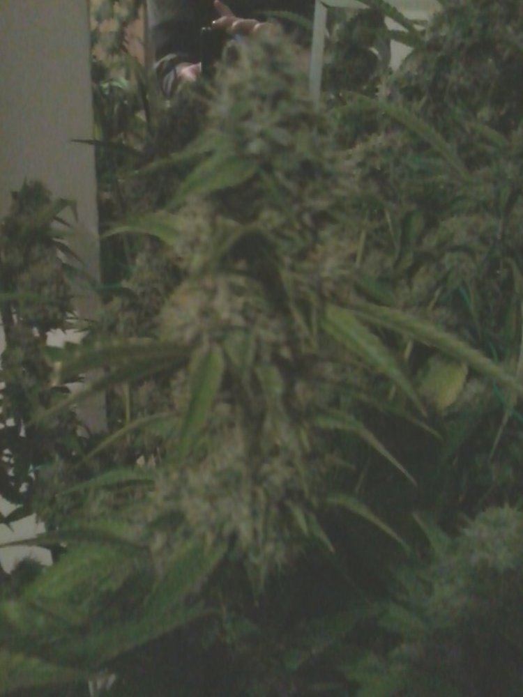 IMG 20130217 124320