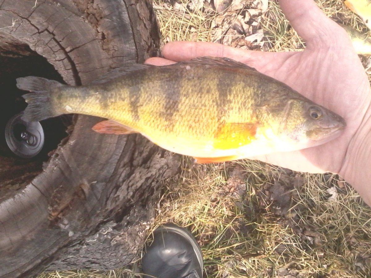 IMG 20130310 141524