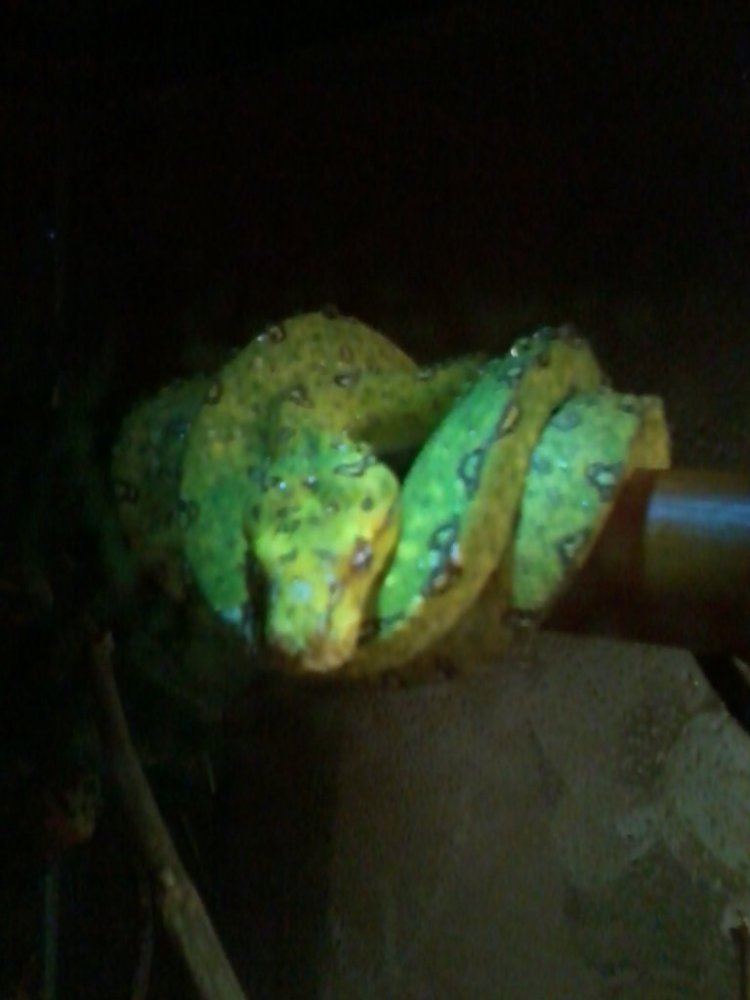 IMG 20130311 234244