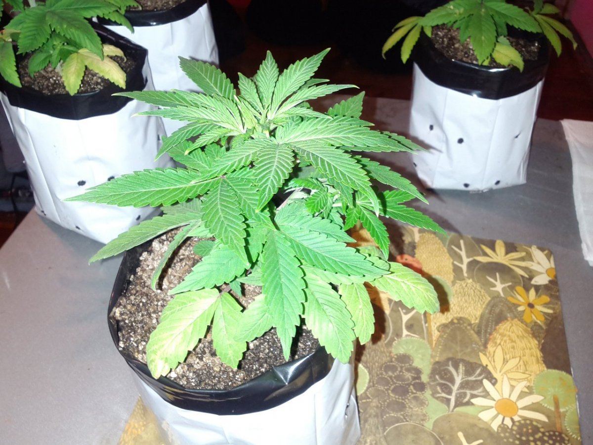 IMG 20130316 141512