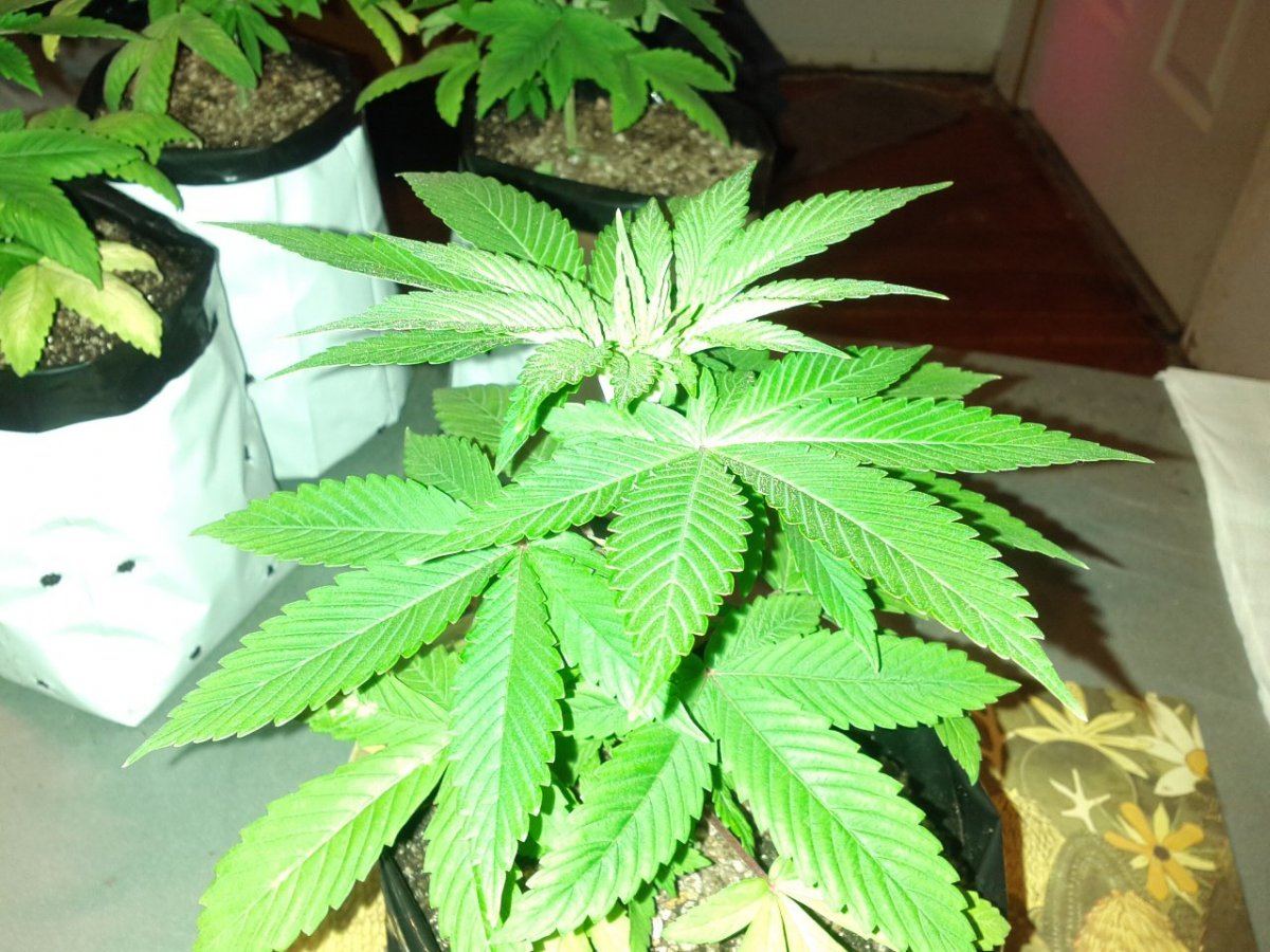IMG 20130316 141653