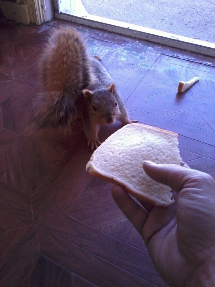 IMG 20130328 150405
