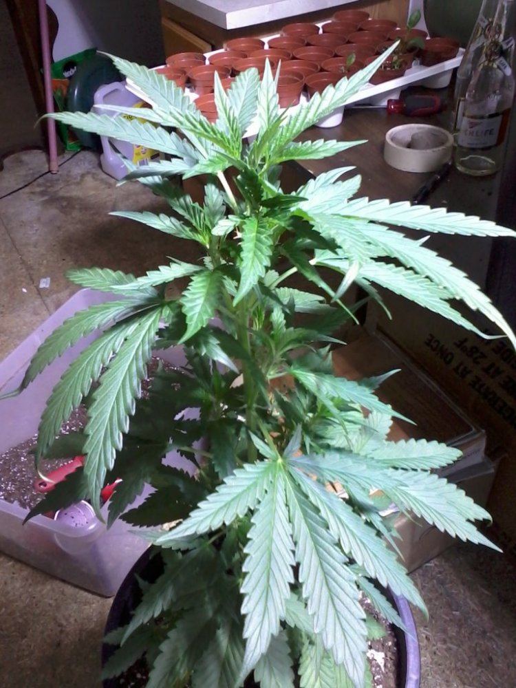 IMG 20130415 102552