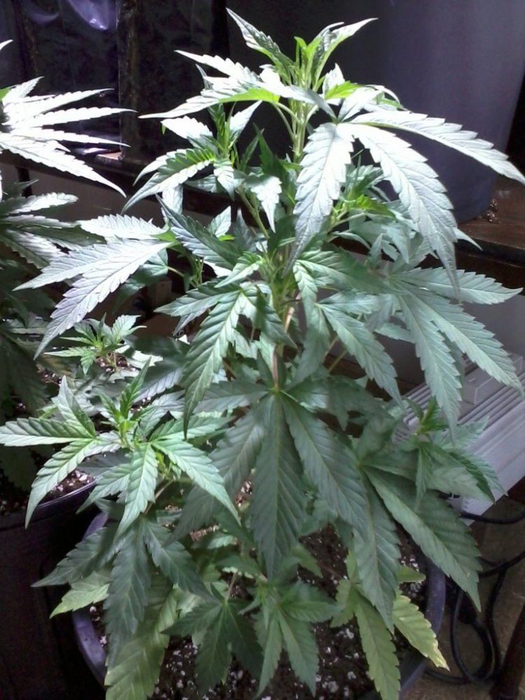IMG 20130415 102600