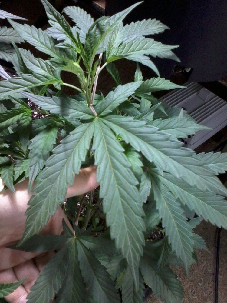 IMG 20130415 102619