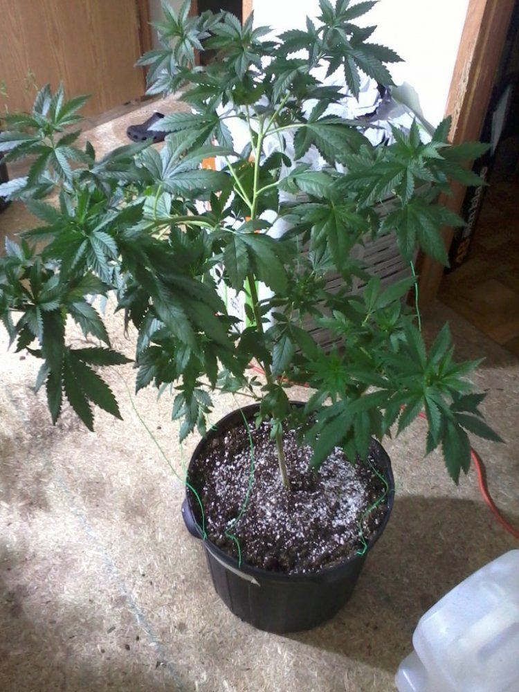 IMG 20130515 111017