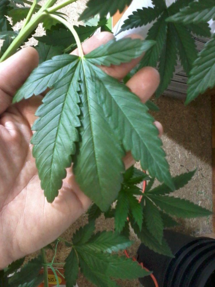 IMG 20130515 111051