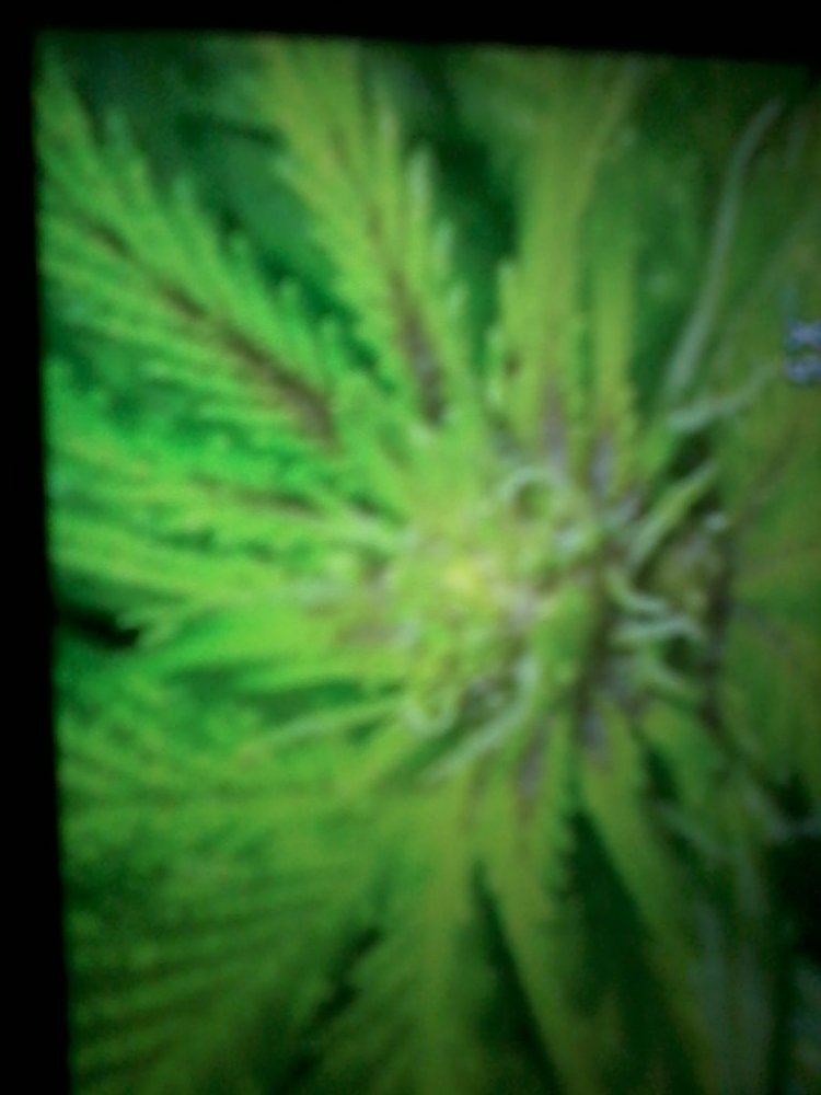 IMG 20130527 110942