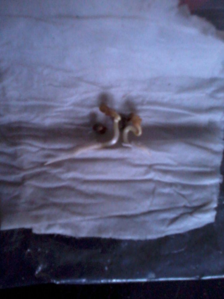 IMG 20130527 140243