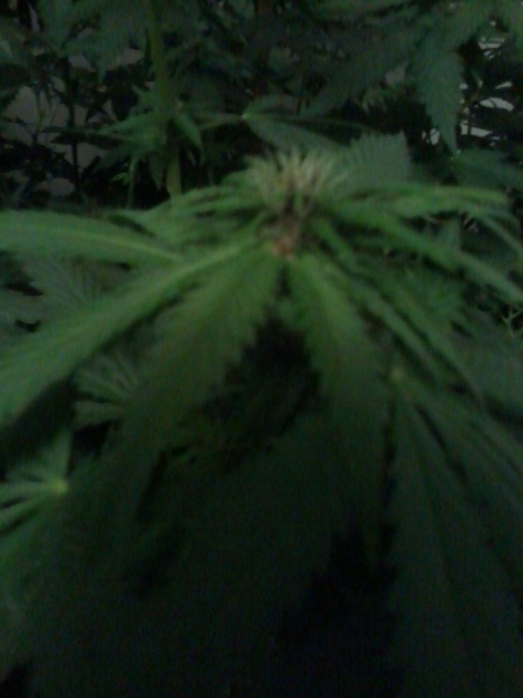 IMG 20130528 202512