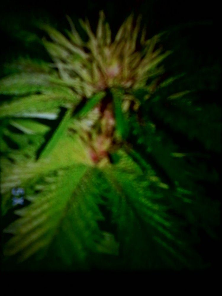 IMG 20130528 212619