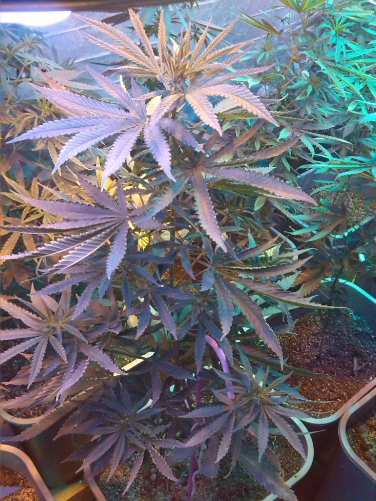 IMG 20130723 131622