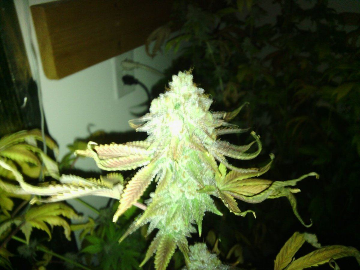 IMG 20130827 221851