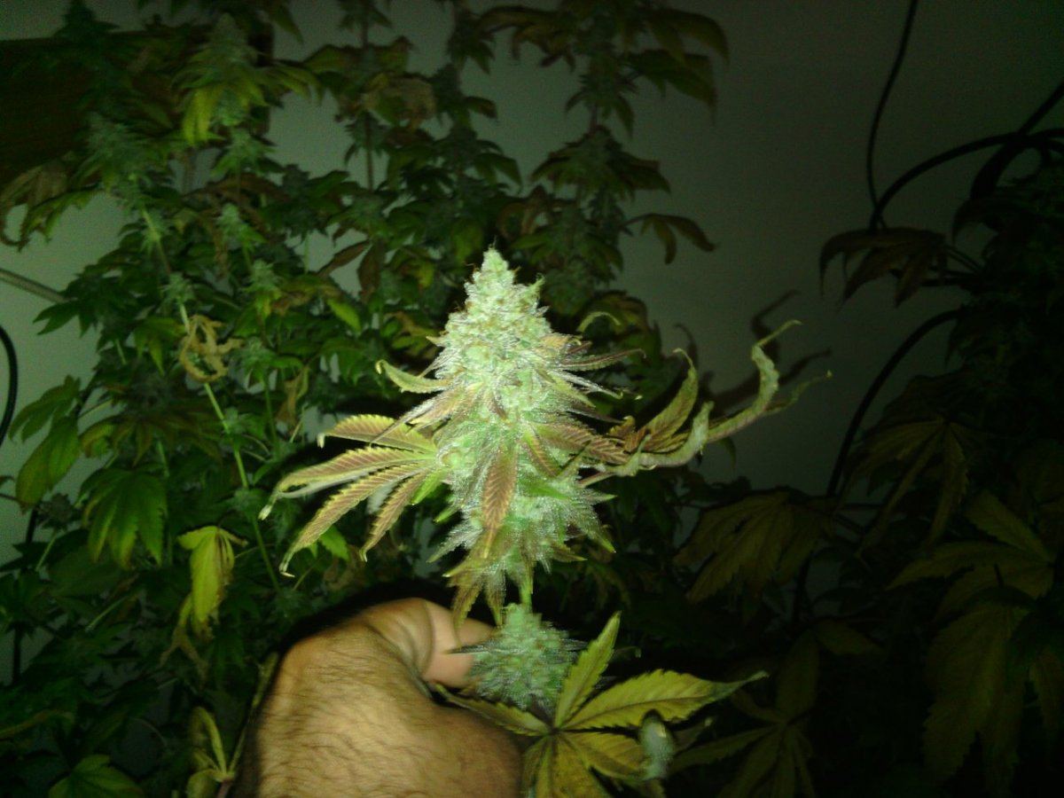 IMG 20130827 221924