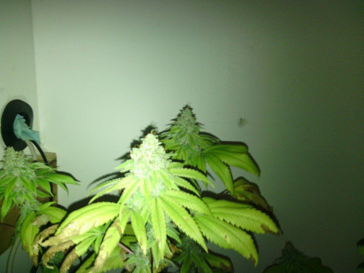IMG 20130827 222029